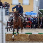 Un centenar de caballos de cuarenta ganaderías participan en la feria de Camponaraya. ANA F. BARREDO