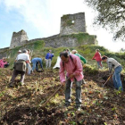 Más de treinta voluntarios ayudaron ayer a limpiar el acceso a la fortaleza medieval.