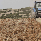 Un agricultor trabaja con su tractor en una finca de cereal. JOSÉ MANUEL VIDAL