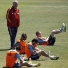 Vicente del Bosque sigue de cerca las evoluciones de sus internacionales.
