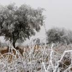 Los campos y los bosques han ofrecido una postal de cuento durante todo el fin de semana