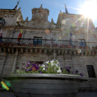 Uno de los maceteros de la plaza del Ayuntamiento. ANA F. BARREDO
