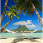 Hamaca entre dos palmeras en una playa del Caribe. DL