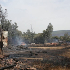 Imagen de archivo de la Sierra de la Culebra tras el gran incendio forestal. MARIAM MONTESINOS