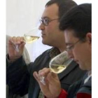 Imagen de una cata de vino blanco con el distintivo de calidad de los caldos del Bierzo