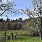 Vista general de algunas de las parcelas plantadas de cerezos, con parte de la torre del Castillo de Corullón al fondo. AYUNTAMIENTO DE CORULLÓN