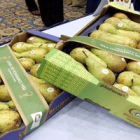 Las cooperativas comenzarán en octubre el etiquetado de las cajas con la marca de garantía.