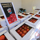 La Feria del Tomate de Mansilla suscita cada año una gran expectación. RAMIRO