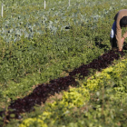 Huerta de cultivo ecológico en Matalobos del Páramo, en una imagen de archivo.