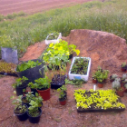 Productos de agricultura ecológica en Camponaraya.