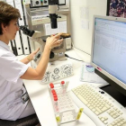 La viróloga Àngels Marcos en el laboratorio de microbiología del Hospital Clínic donde se analizan los virus gripales.