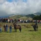 El concurso-exposición de hispano-bretones atrajo ayer a San Emiliano a centenares de visitantes