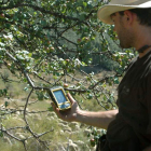 Un usuario localiza mediante GPS ubicaciones de frutales de los que se alimentan los osos.