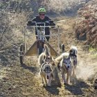 Club Mushing León organiza por primera vez esta carrera. DL