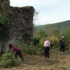 Voluntarios, ayer limpiando la maleza del castillo de Balboa. DL