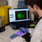 Laboratorio del Idibell.