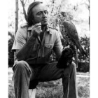 El naturalista y divulgador Félix Rodríguez de la Fuente, con un halcón
