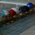Varios niños realizan un cursillo de natación en una piscina