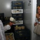 La presidenta de la Diputación visitó ayer en Toral Queserías El Palacio y la Cooperativa Vega-Esla