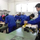 Alumnos del curso que está vigente en la actualidad.
