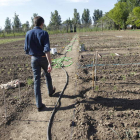 Las explotaciones con jóvenes al frente es la única salida de relevo generacional que espera el campo leonés.