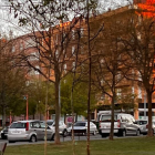 Repoblación de árboles en barrios de León. AYUNTAMIENTO DE LEÓN