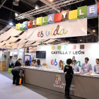 Expositor de Castilla y León en esta edición de Fitur 2014.