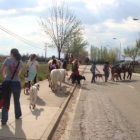 El grupo de peregrinos acompañados de sus animales.