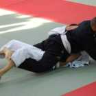 dl