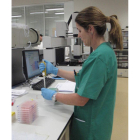 Una técnico del laboratorio de sanidad animal.