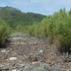Los vecinos de las comarcas del Teleno tendrán acceso gratuito a su monte para recolectar setas