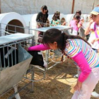 Un grupo de escolares visita una explotación ganadera.