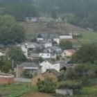 El municipio de Sancedo dispone de 800 hectáreas de pinares