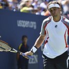 Ferrer, con gesto de derrota, tras el partido ante Djokovic.