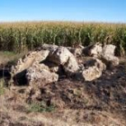 Las máquinas arrasaron muros cuyas piedras descansan junto al maizal