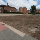 Los dueños del solar de la calle Cartago donde aparecieron reptiles ya han limpiado el terreno.