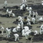 Un grupo de voluntarios llagados de Bilbao se afana en limpiar la playa de Nemiña