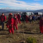 Unos 150 alumnos del Gil y Carrasco plantaron los árboles. DL