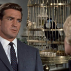Rod Taylor en una escena de ‘Los pájaros’, de Hitchcock.