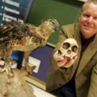 Berger muestra el cráneo del niño de Taung con un águila a escala