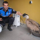 Un agente de la Policía Local de Astorga acaricia la cabeza del animal, durante su estancia en la co
