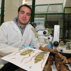 Álvaro Rodríguez González, en el Instituto de Recursos Naturales, desde donde realiza su tesis doctoral.