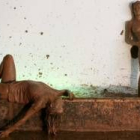 Performance de Surasi Kusolwonge en la exposición «Sencillamente bello»