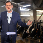 El líder del PP, Mariano Rajoy, este jueves en una visita electoral a una explotación ganadera en Asturias.