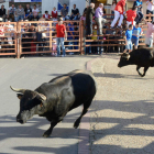Los novillos de Antonio Pérez de San Fernando pasan sin corredores entre sus astas.