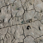 Fotografía de archivo de los efectos de la sequía en Alicante. MAUEL LORENZO