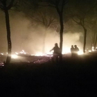 Bomberos intentan controlar las llamas del incendio que se ha adentrado este domingo en el parque natural de Doñana.