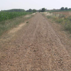 Los agricultores exigen que el Ayuntamiento de Villanueva dé luz verde a la concentración. DL