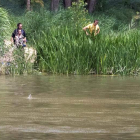 Búsqueda del cocodrilo en el río. NACHO GALLEGO