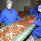 León es la provincia con más cooperativas de la comunidad; arriba una agroalimentaria en el Bierzo